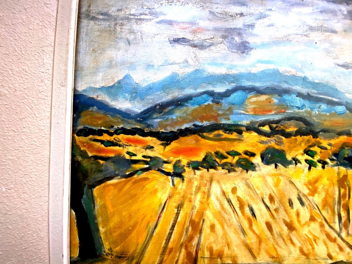 Large Provencal Landscape Les Dentelles, Oil On Canvas From The Mid 20th Century By Franklin Roudybush-photo-4