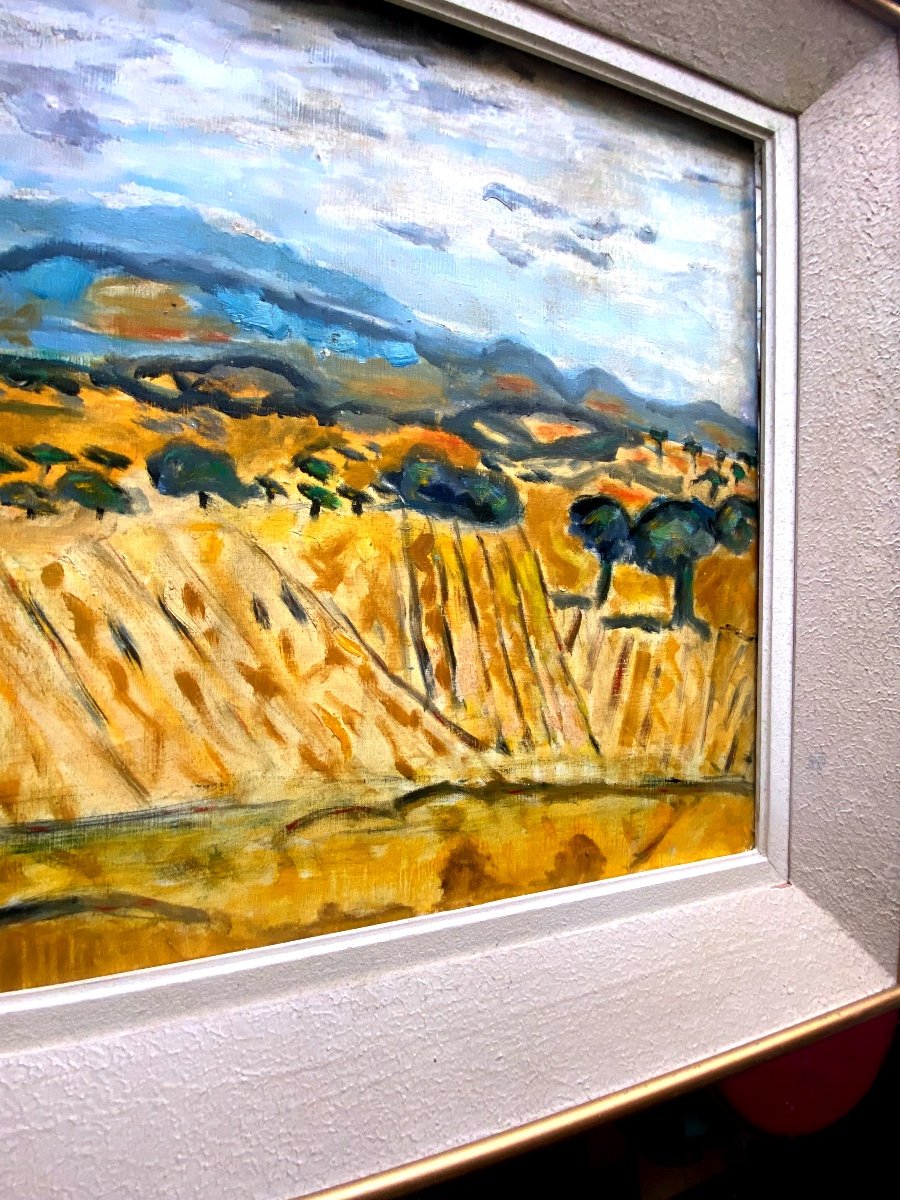 Large Provencal Landscape Les Dentelles, Oil On Canvas From The Mid 20th Century By Franklin Roudybush-photo-3