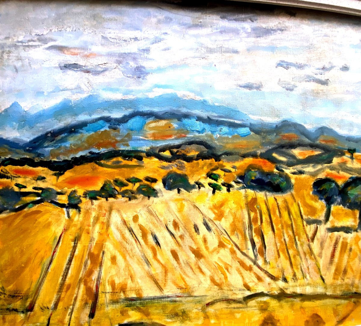 Large Provencal Landscape Les Dentelles, Oil On Canvas From The Mid 20th Century By Franklin Roudybush-photo-4