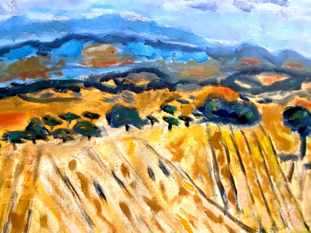 Large Provencal Landscape Les Dentelles, Oil On Canvas From The Mid 20th Century By Franklin Roudybush-photo-5