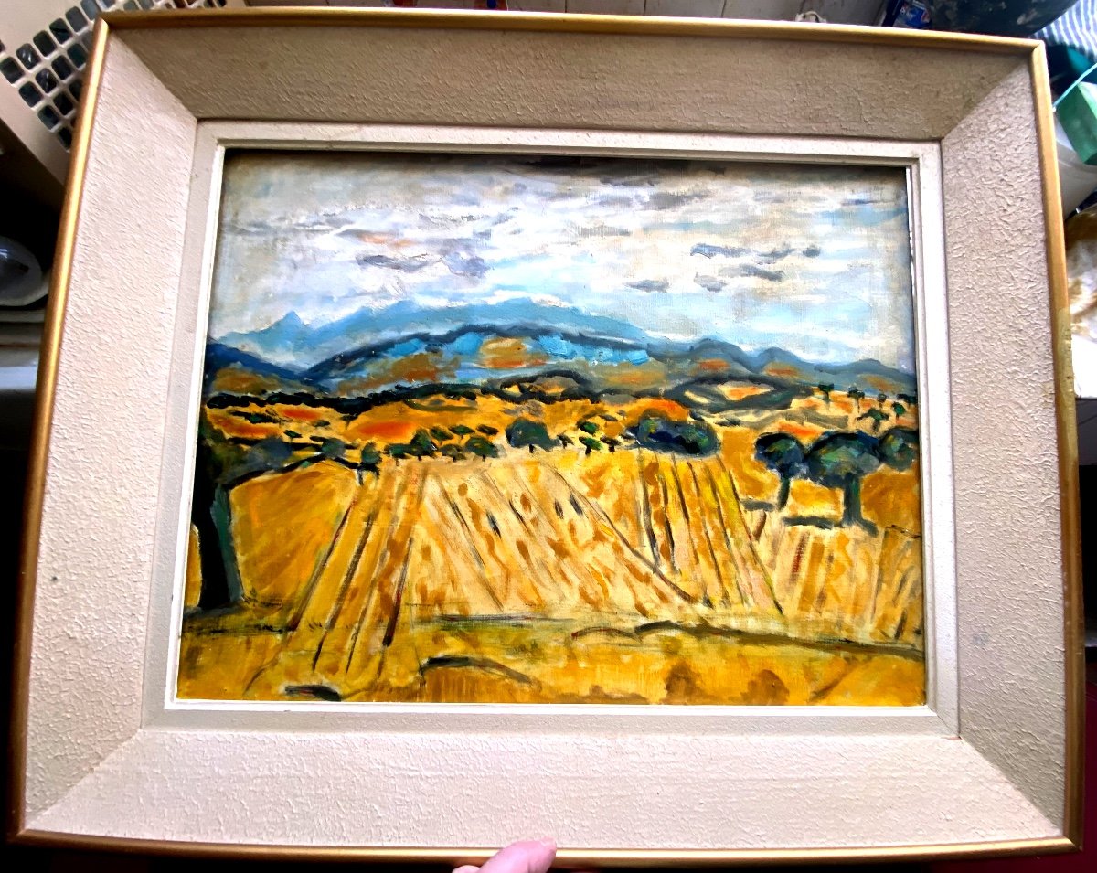 Large Provencal Landscape Les Dentelles, Oil On Canvas From The Mid 20th Century By Franklin Roudybush-photo-8