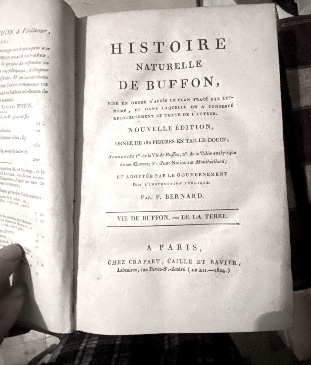 Peu Commune "Histoire Naturelle De Buffon"  En 11 Vol. Ornée De 185 Figures , P. Bernard An XII-photo-2