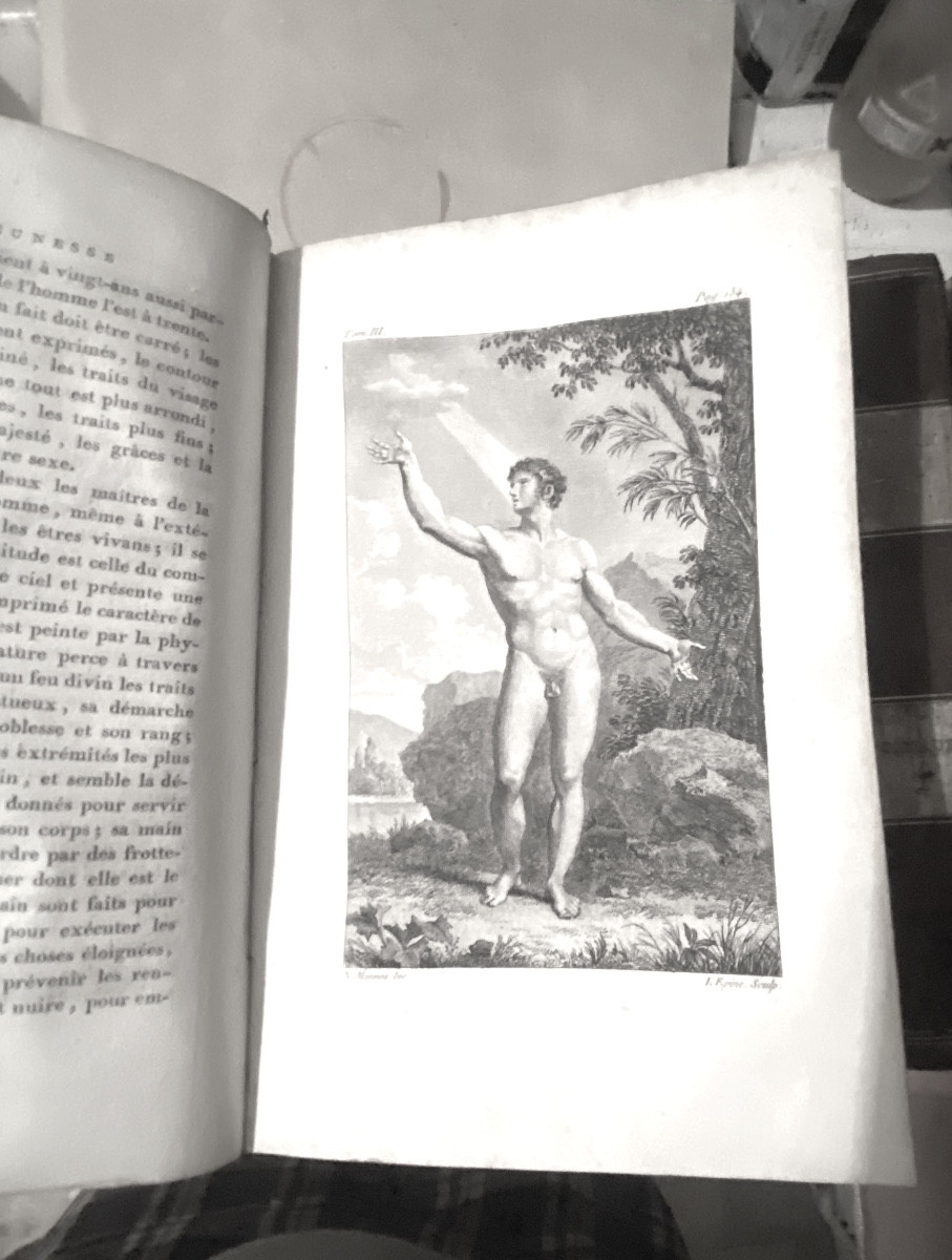 Peu Commune "Histoire Naturelle De Buffon"  En 11 Vol. Ornée De 185 Figures , P. Bernard An XII-photo-4