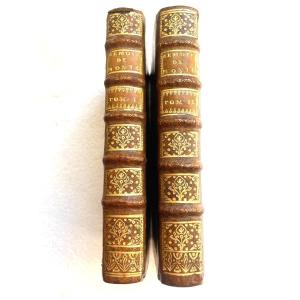 Beautiful Copy In 2 Vols. In 12 “memoirs Of Mr De Montchal” (ministry Of Richelieu). 1718