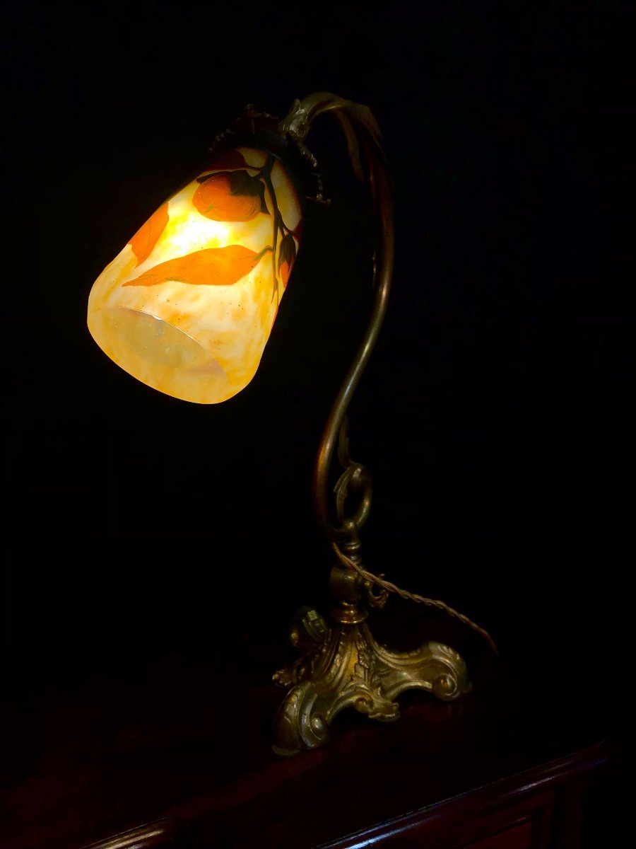 Daum Lamp With Khaki Decor -photo-3