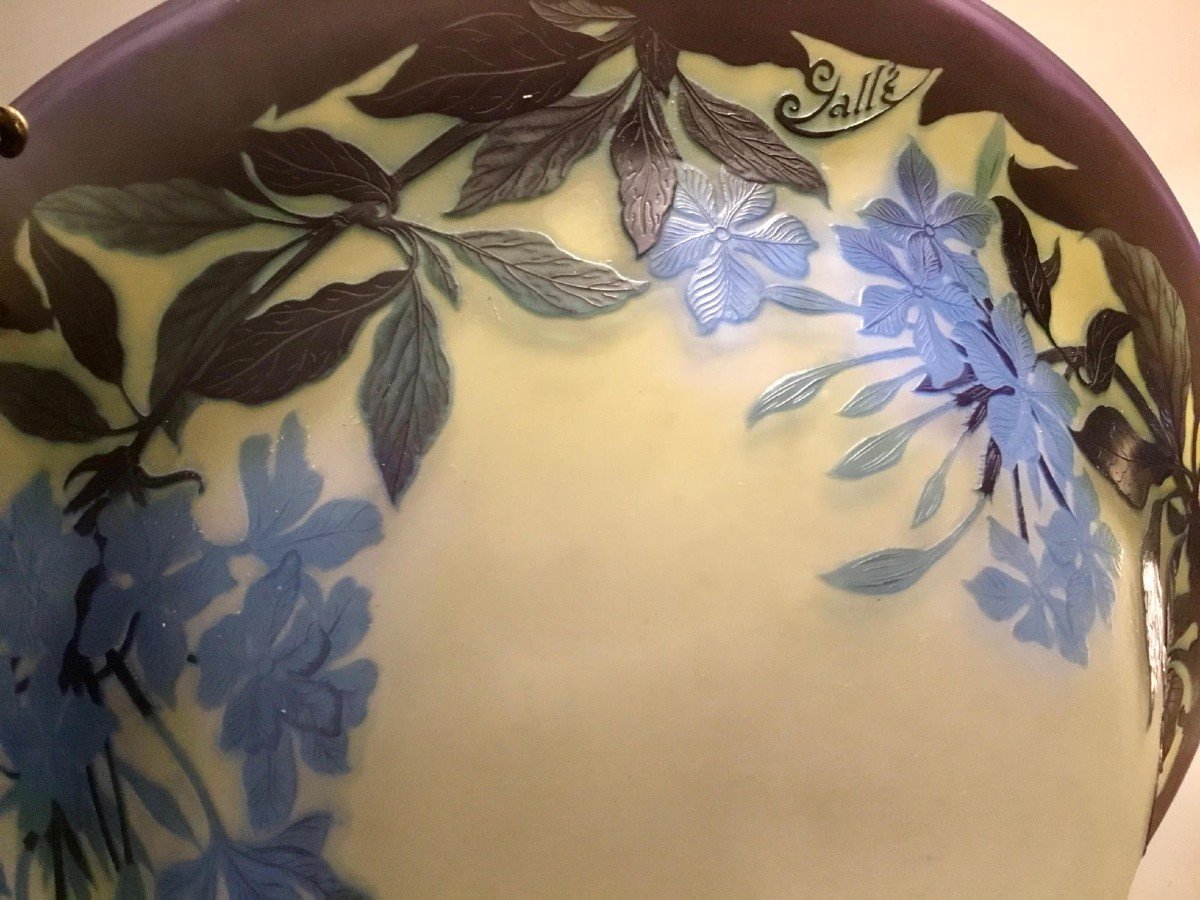 Emile Gallé - Bowl Decorated With Clematis-photo-1