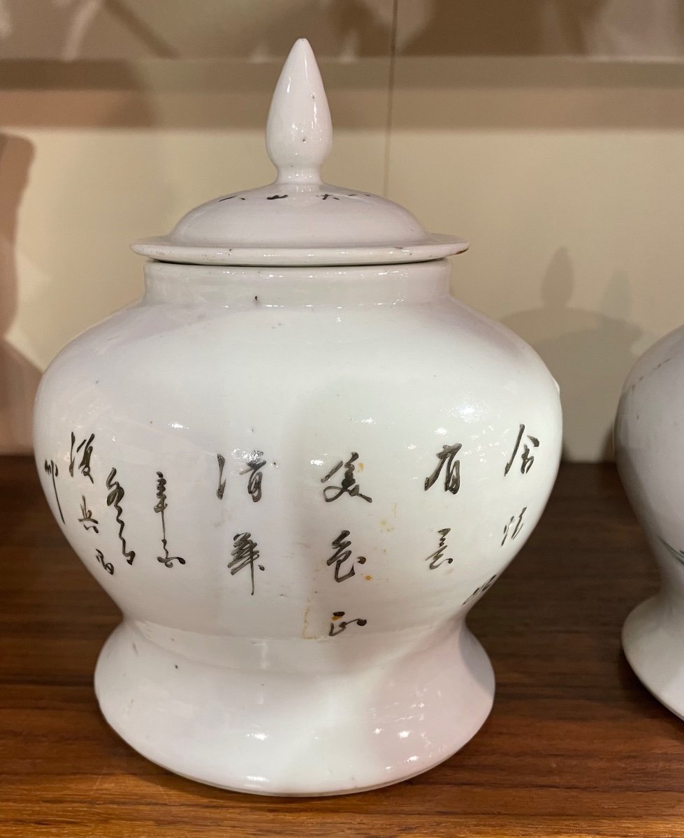 Paire De Potiches En Porcelaine Du 19ème Siècle Chine-photo-4