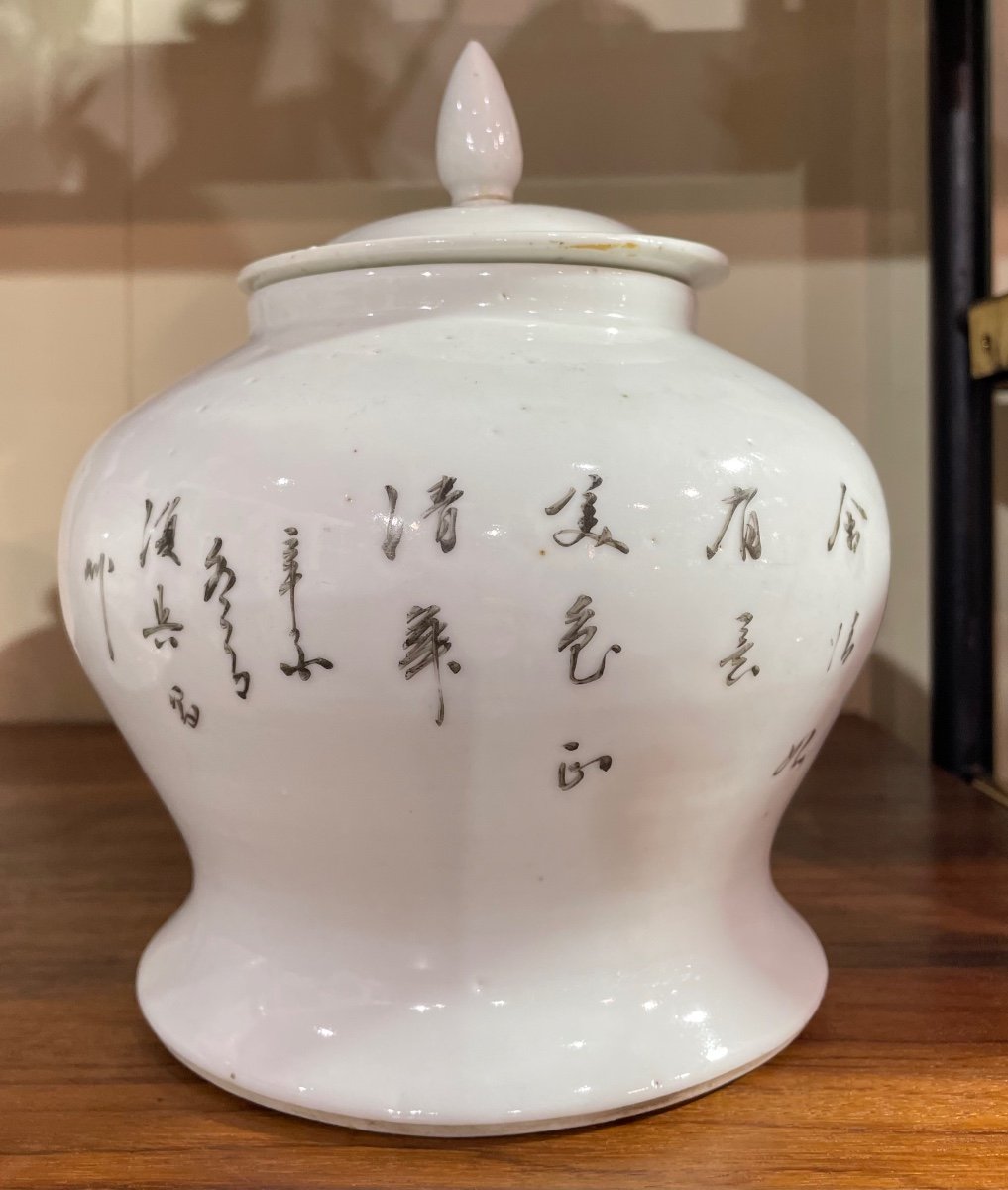 Paire De Potiches En Porcelaine Du 19ème Siècle Chine-photo-3