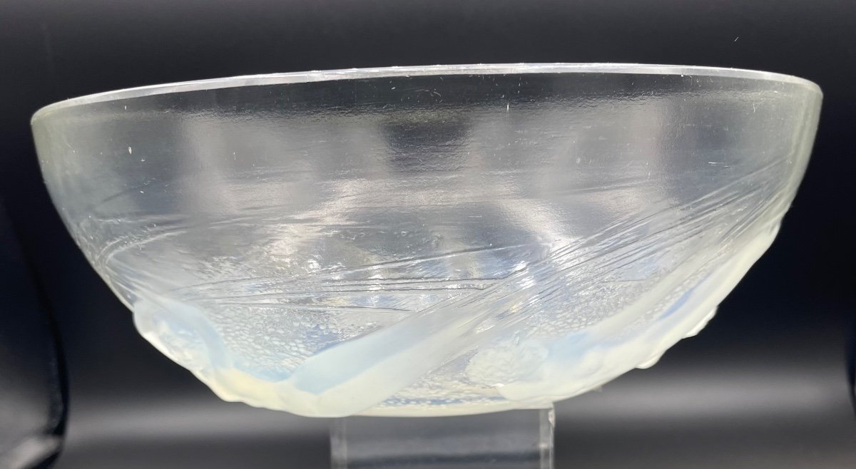 Coupe En Verre Opalescent De R.lalique XX Siècle -photo-2