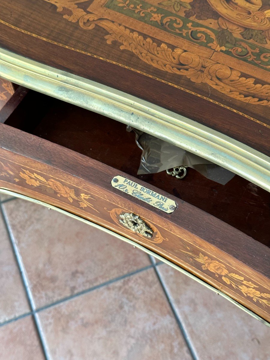 19th Century Inlaid Desk Mounted With Gilded Bronzes, By Paul Sormani-photo-2