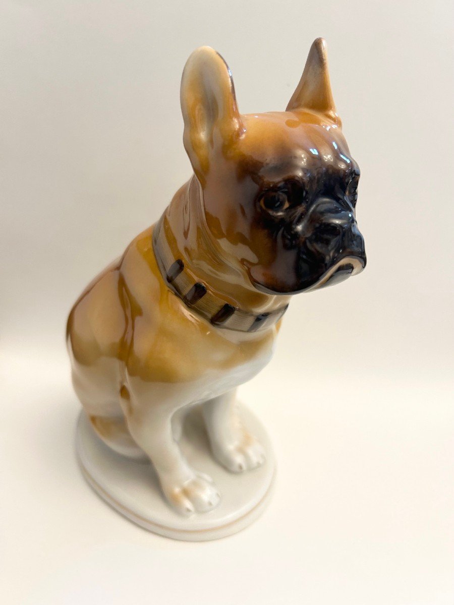 Porcelaine De Russie Lomonosov Porcelaine Bouledogue Français Lfz-photo-2