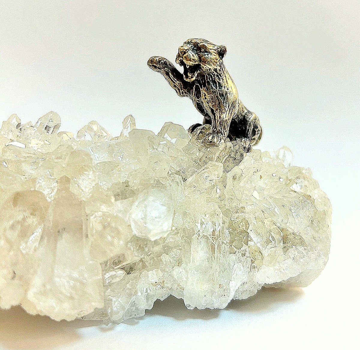 Un Couguar Argente Sur Un Rocher En Cristal De Roche.-photo-2