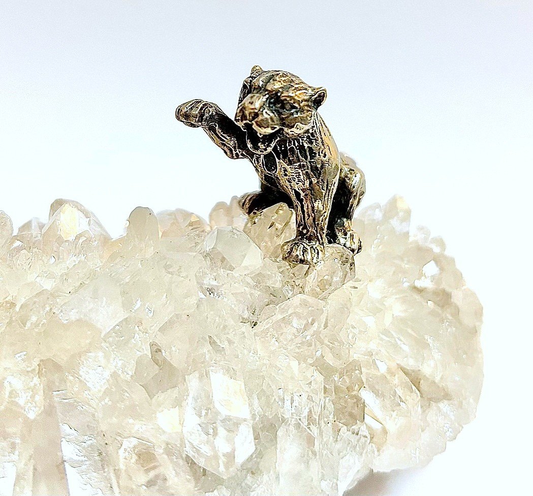 Un Couguar Argente Sur Un Rocher En Cristal De Roche.-photo-3