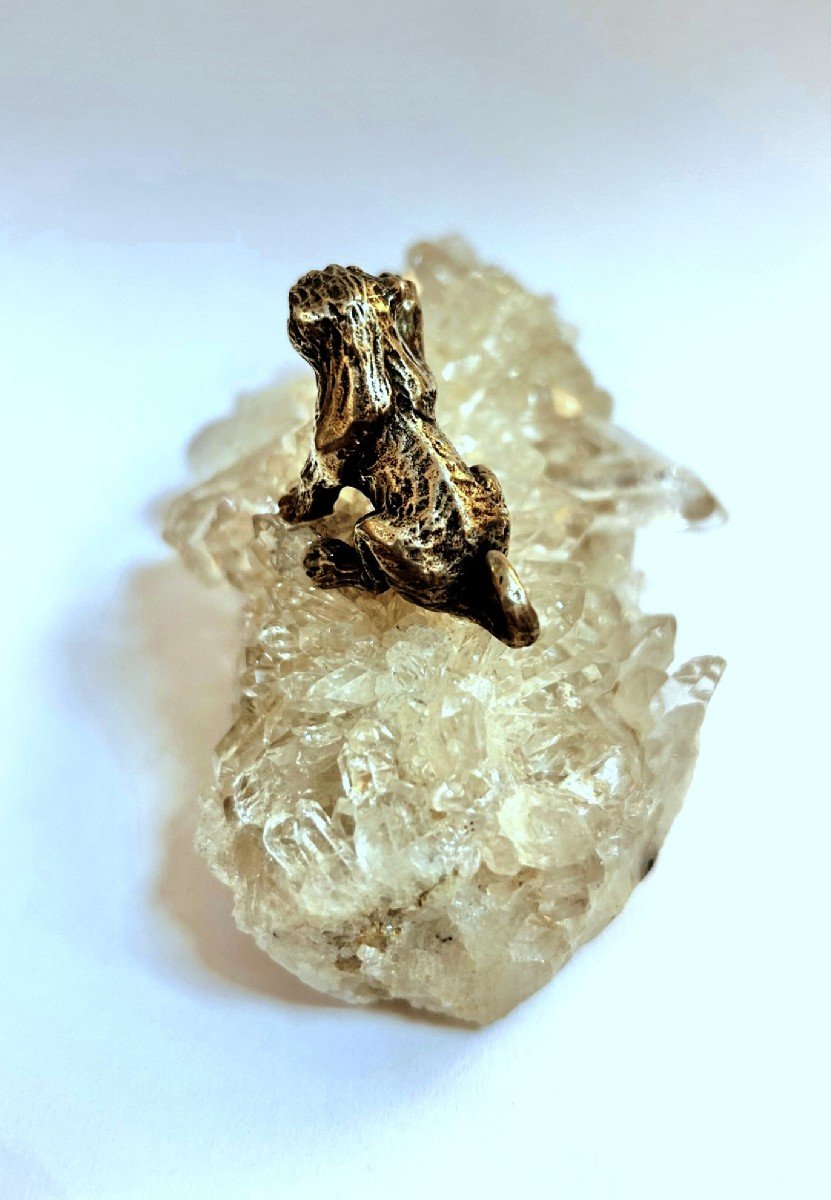 Un Couguar Argente Sur Un Rocher En Cristal De Roche.-photo-1