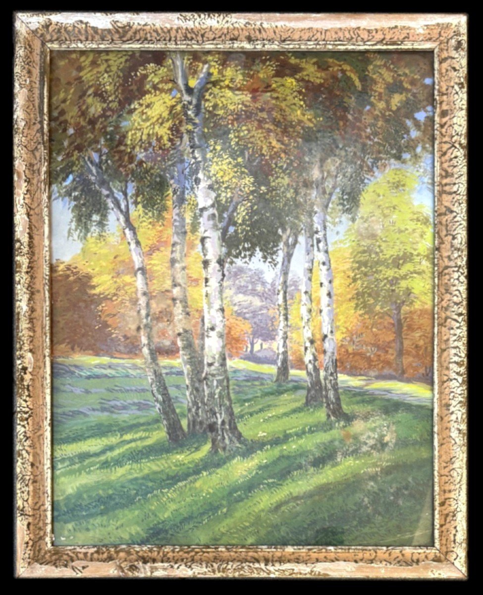 Unknown Painter "birches"