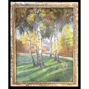 Unknown Painter "birches"