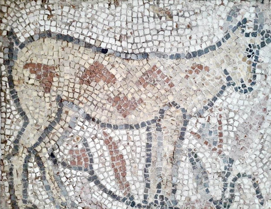 Mosaïque Animalière Carthaginoise IIe Siècle 