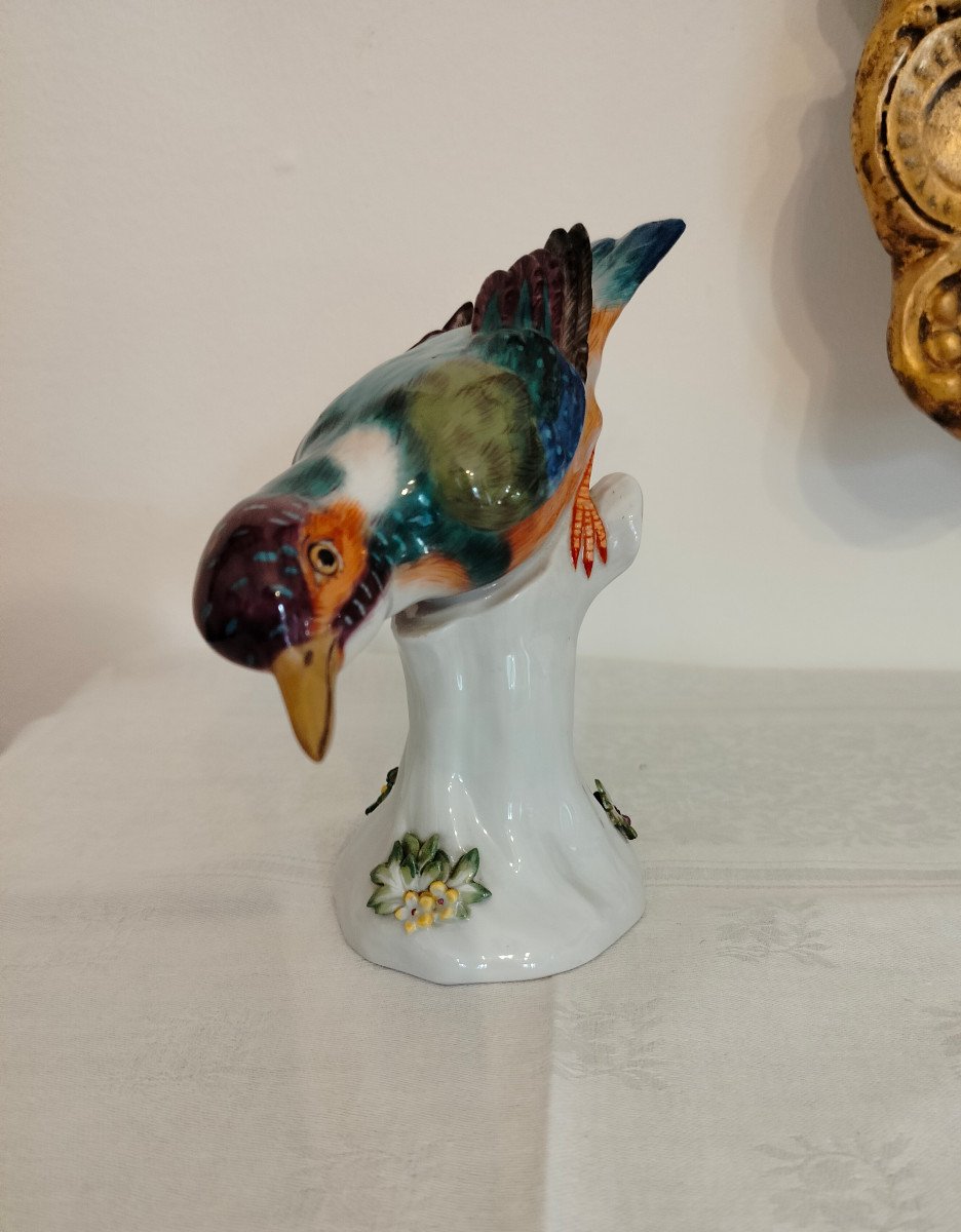 Bird Kingfisher Meissen -photo-2