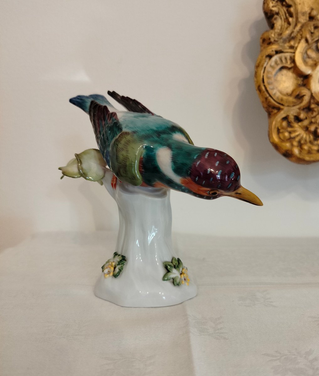 Bird Kingfisher Meissen -photo-3