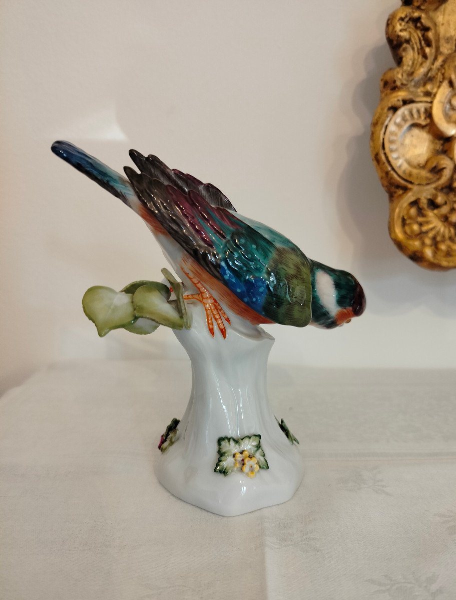 Bird Kingfisher Meissen -photo-4