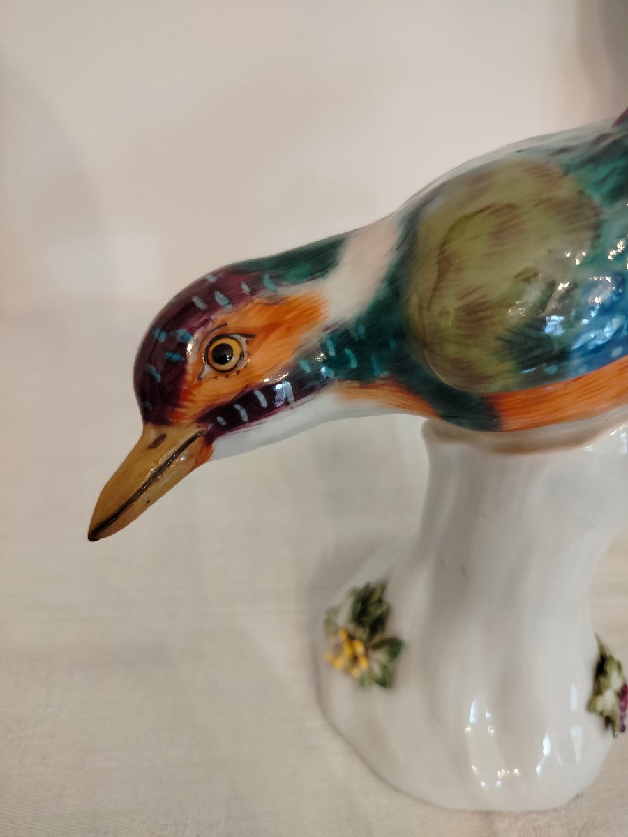 Bird Kingfisher Meissen -photo-2