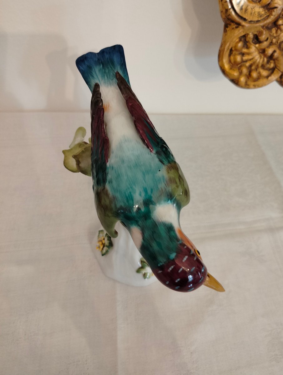 Bird Kingfisher Meissen -photo-3