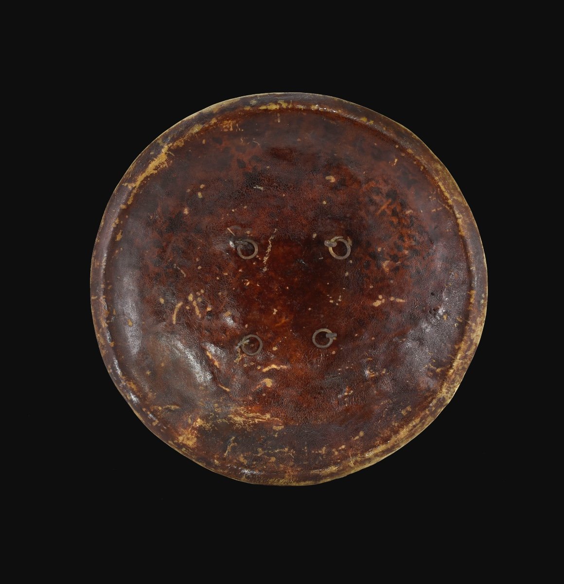 North Indian Dhal Shield-photo-2