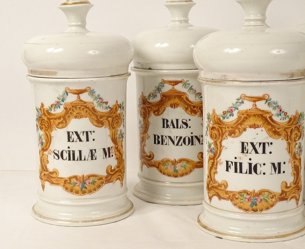 8 Paris Porcelain Apothecary Pharmacy Jars Nineteenth Jalap Flower Cup-photo-2