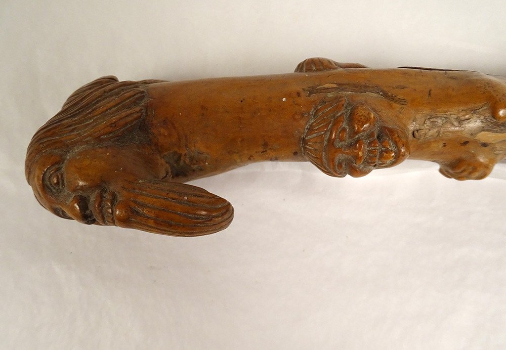 Old Cane Carved Wood Heads Grotesque Characters Nineteenth Folk Art-photo-3