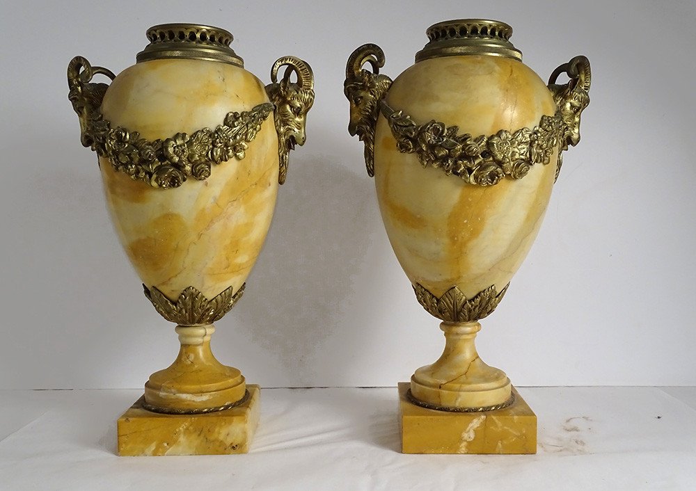 Pair Large Cassolettes Siena Marble Gilt Bronze Rams Heads 19th-photo-5