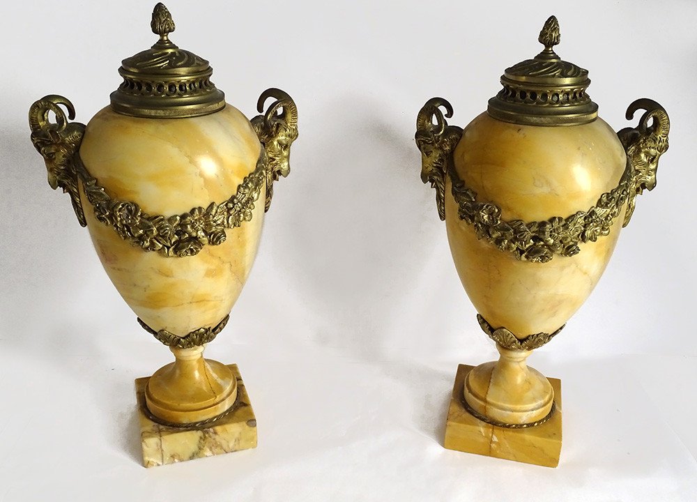 Pair Large Cassolettes Siena Marble Gilt Bronze Rams Heads 19th