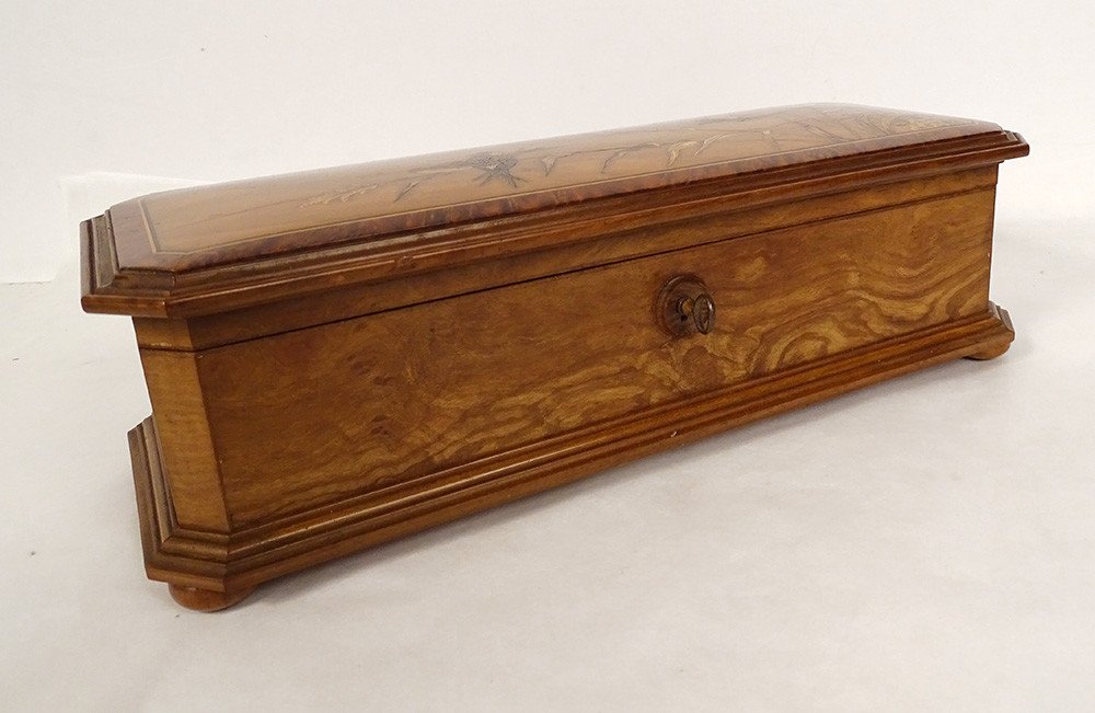 Glove Box Walnut Marquetry Birds Swallows Landscape Late 19th Century-photo-1