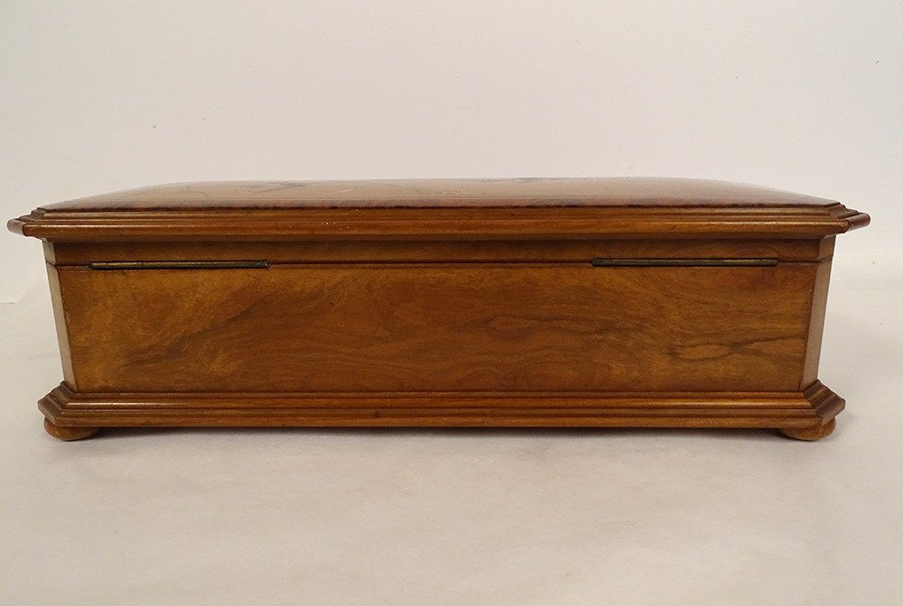 Glove Box Walnut Marquetry Birds Swallows Landscape Late 19th Century-photo-3