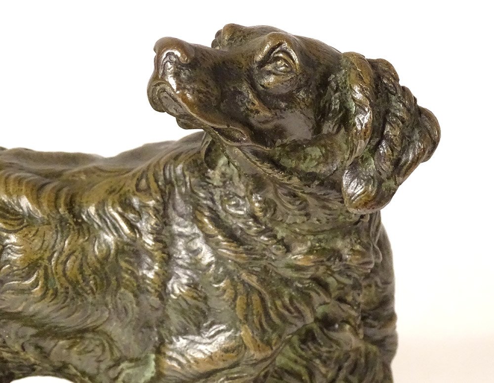 Sculpture Bronze Jules Moigniez Chien Chasse Arrêt épagneul XIXème Siècle-photo-1