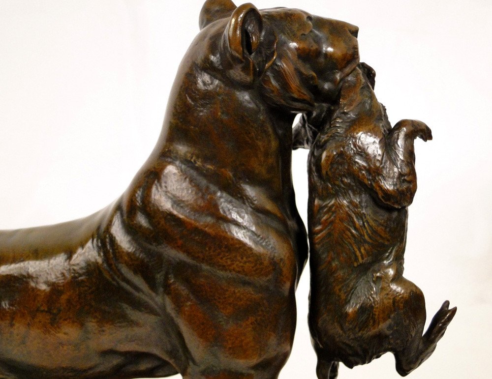 Auguste Cain Bronze Sculpture Lioness And Cubs Susse Frères Paris 19th-photo-8