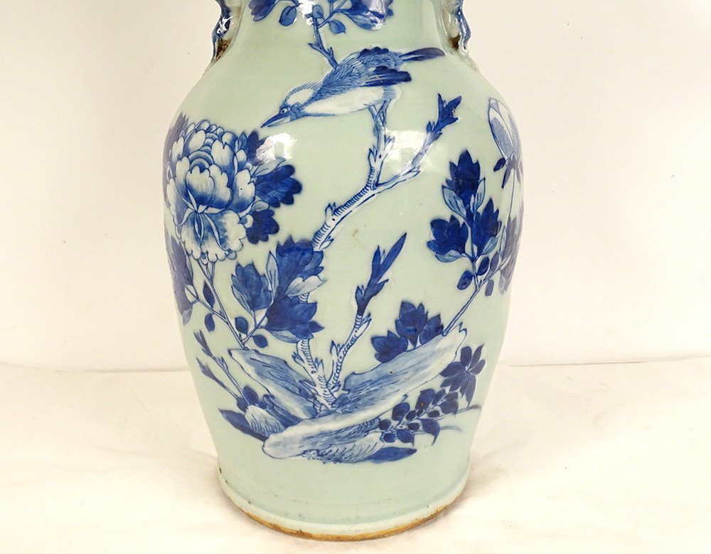 Baluster Vase Porcelain China White-blue Green Celadon Bird Peonies 20th Century-photo-3