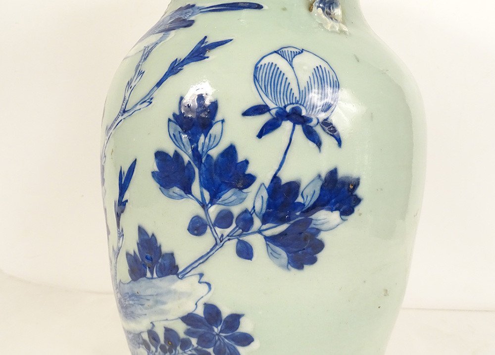 Baluster Vase Porcelain China White-blue Green Celadon Bird Peonies 20th Century-photo-4