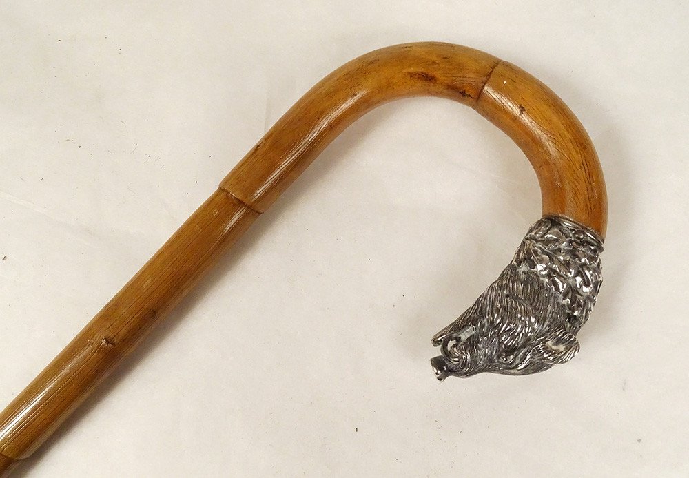 Antique Cane Solid Silver Knob Foreign Boar Head Bamboo 19th Century-photo-3