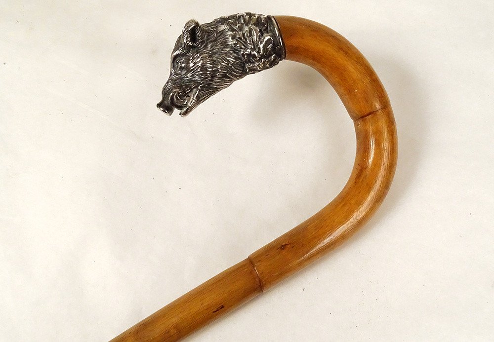 Antique Cane Solid Silver Knob Foreign Boar Head Bamboo 19th Century-photo-4