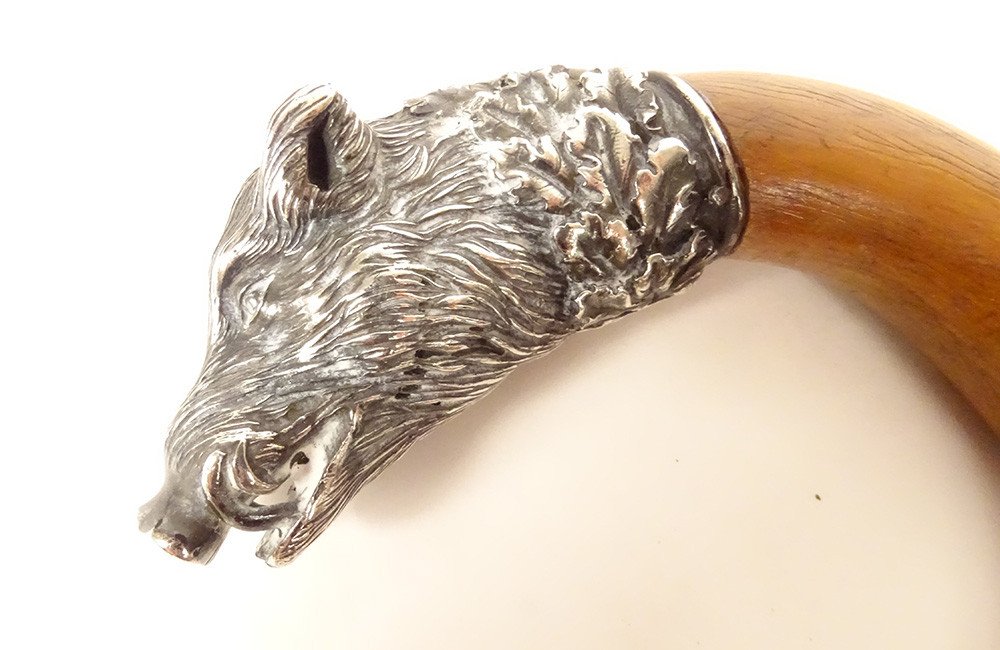 Antique Cane Solid Silver Knob Foreign Boar Head Bamboo 19th Century-photo-3