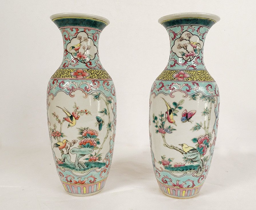 Paire Vases Balustres Porcelaine Chinoise Oiseaux Fleurs Double Cercle XIXè