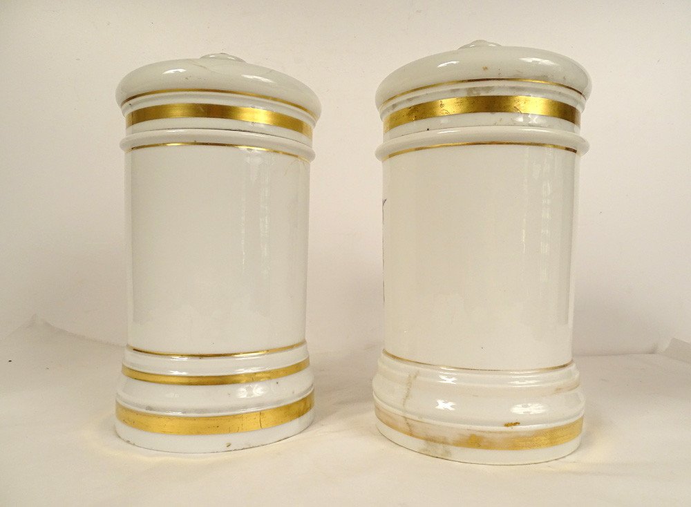 Pair Of Porcelain Pharmacy Jars Paris Serpent Three Kingdoms Nature 19th Century-photo-3