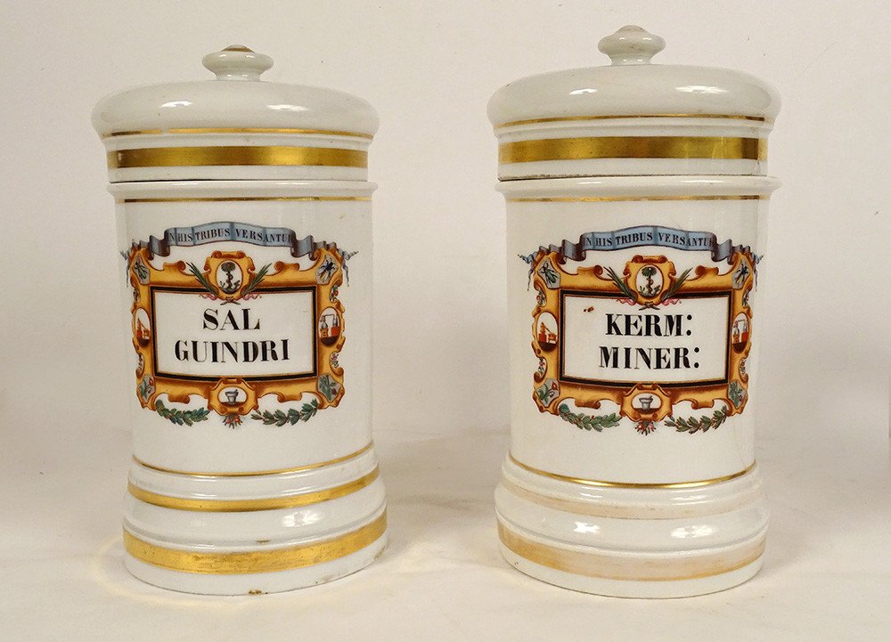 Pair Of Porcelain Pharmacy Jars Paris Serpent Three Kingdoms Nature 19th Century