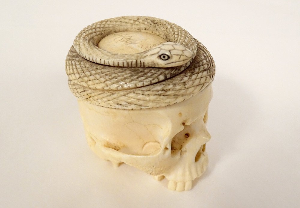 Okimono Ivory Carved Skull Vanity Snake Japan Meiji 19th Century-photo-3