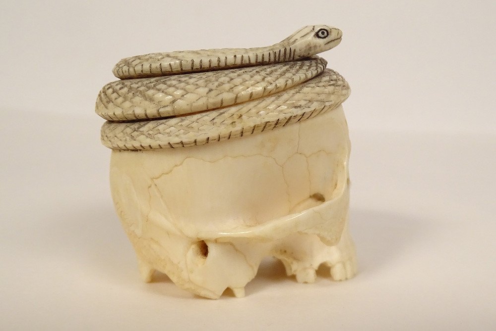 Okimono Ivory Carved Skull Vanity Snake Japan Meiji 19th Century-photo-1