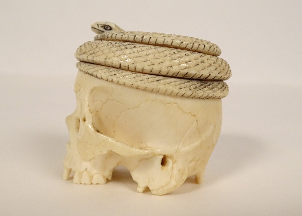 Okimono Ivory Carved Skull Vanity Snake Japan Meiji 19th Century-photo-3