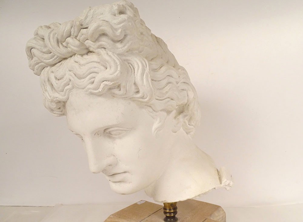 Plaster Sculpture Head God Statue Apollo Belvedere Rome Italy 19th Century-photo-3