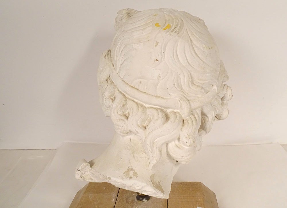 Plaster Sculpture Head God Statue Apollo Belvedere Rome Italy 19th Century-photo-2