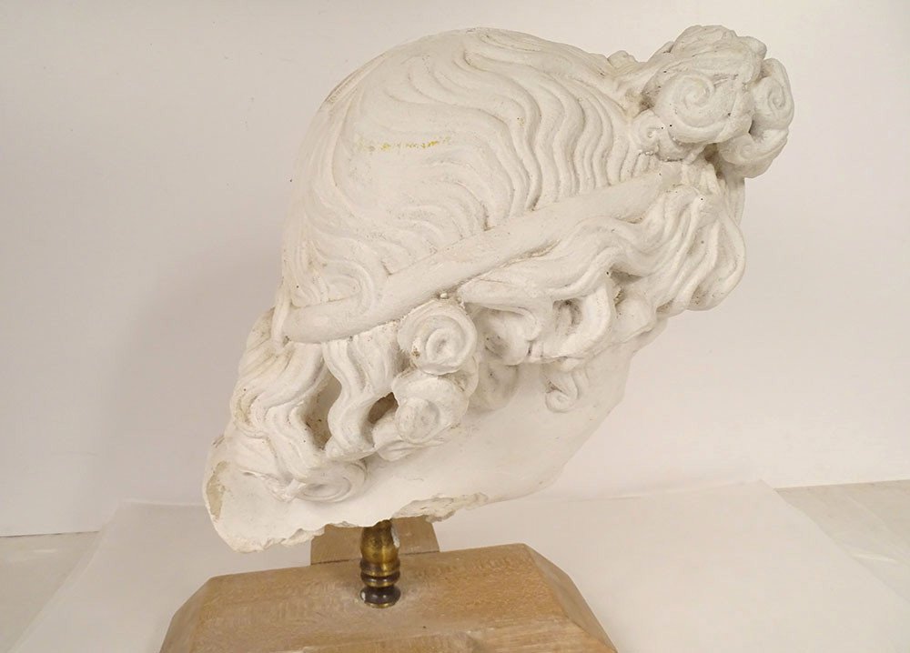 Plaster Sculpture Head God Statue Apollo Belvedere Rome Italy 19th Century-photo-3