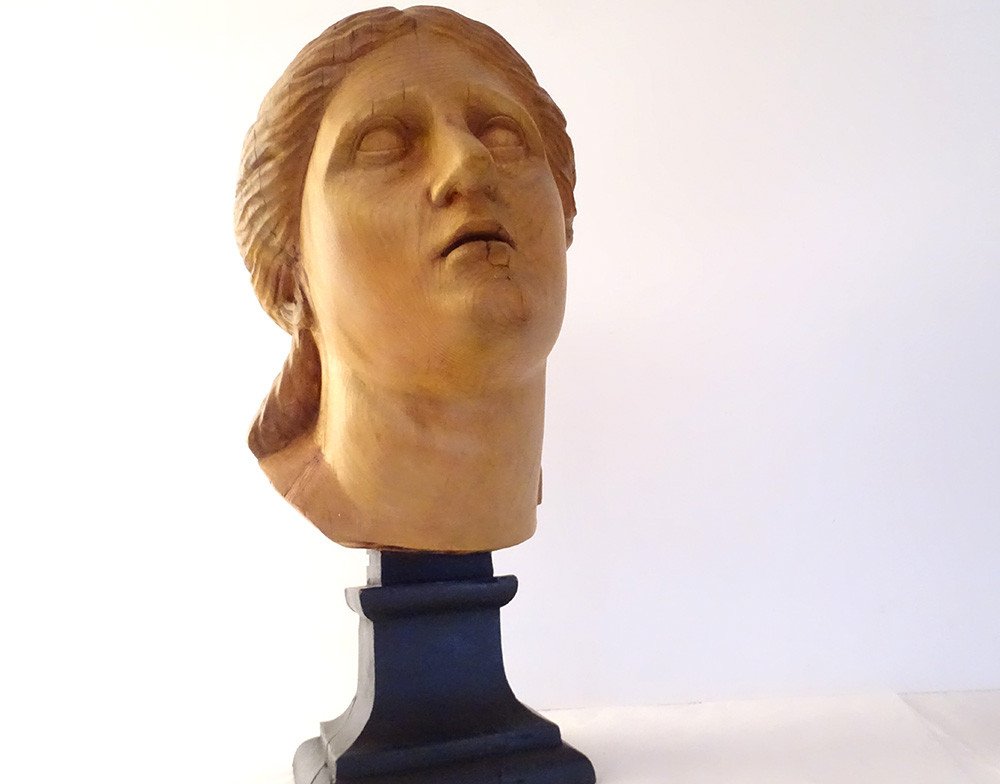 Head Sculpture Young Woman Aphrodite Carved Natural Wood Late 19th Century-photo-2